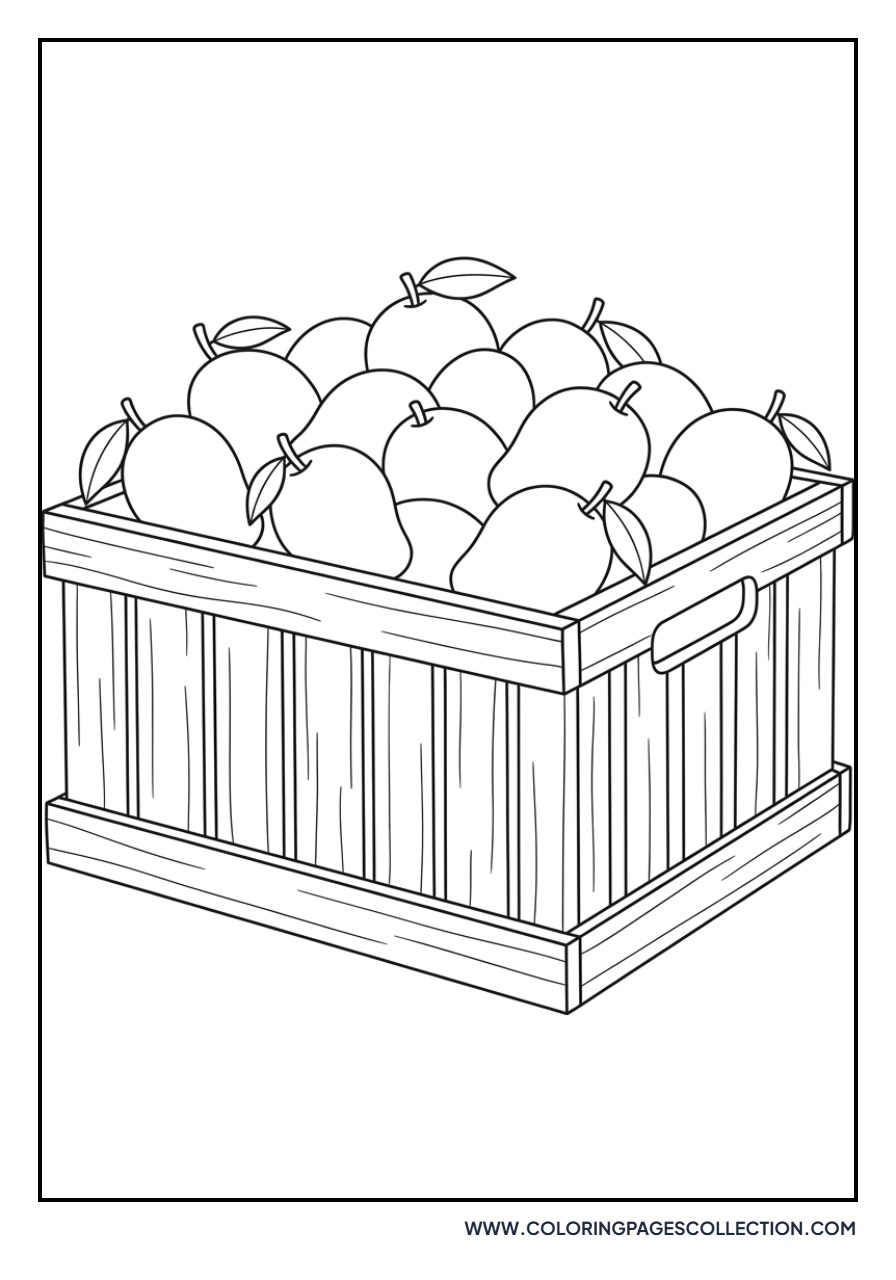 Mango Harvest Bin
