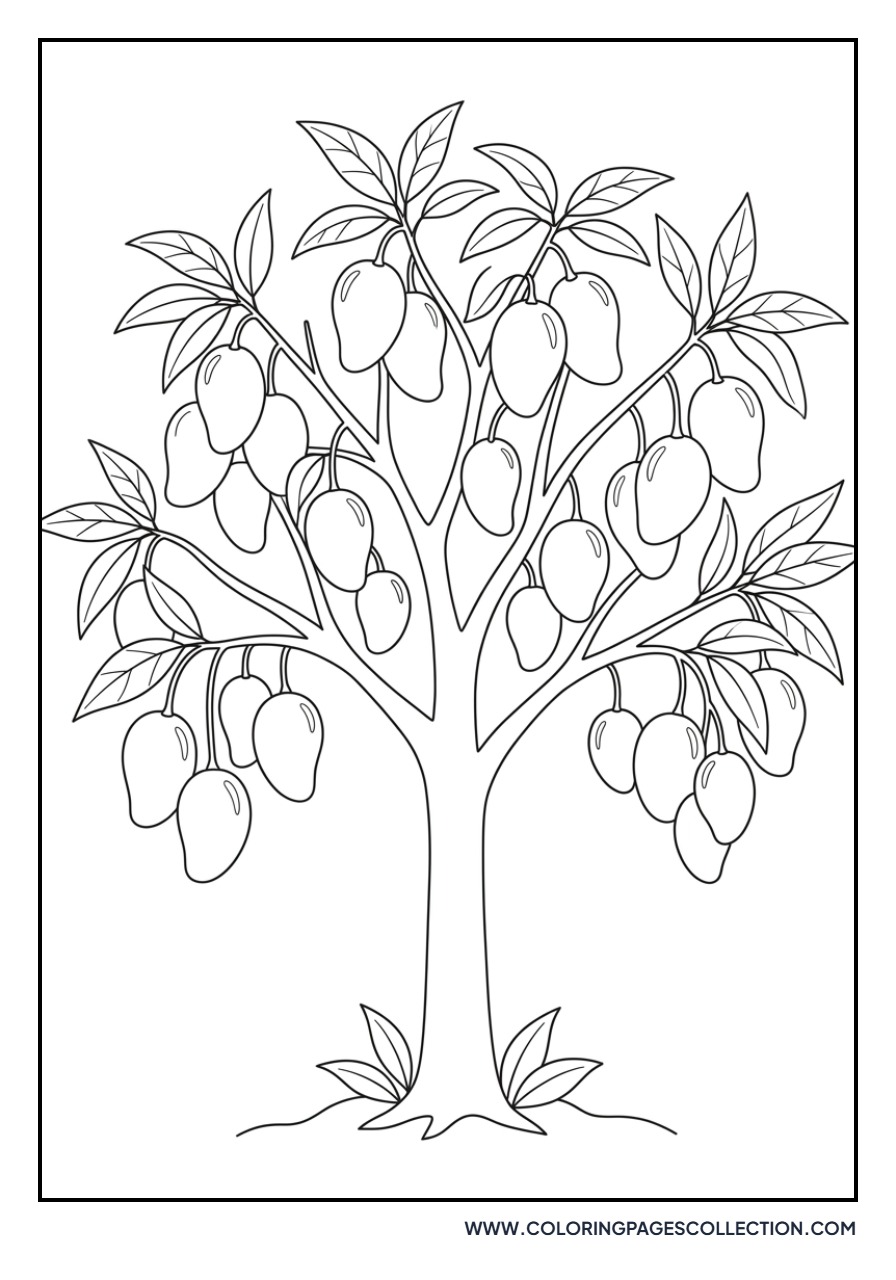 Mango Tree with Low Branches