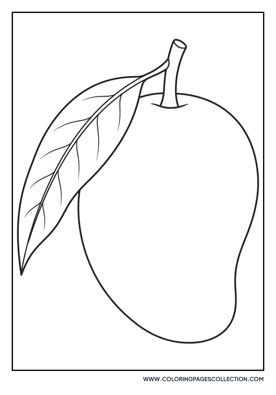 Mango with Single Leaf