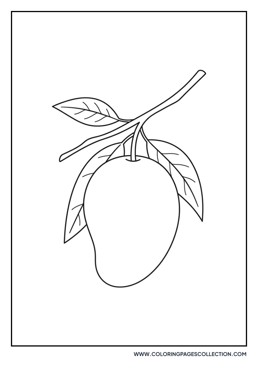 Small Mango on Branch