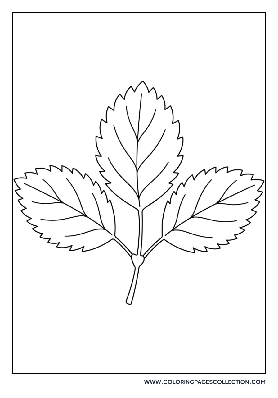 Botanical Strawberry Leaves