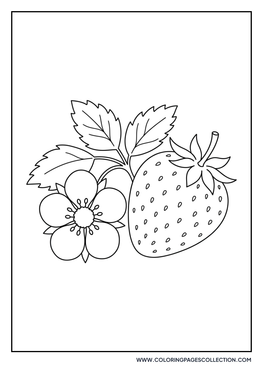Strawberry Blossom and Fruit