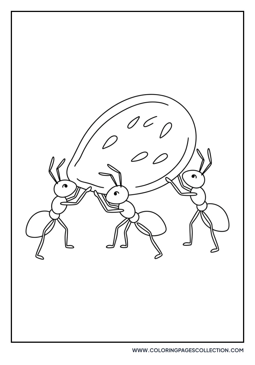 Ants Carrying Watermelon Seeds