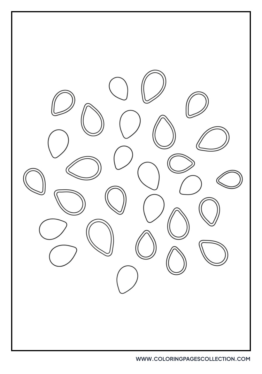 Small Watermelon Seeds Scatter