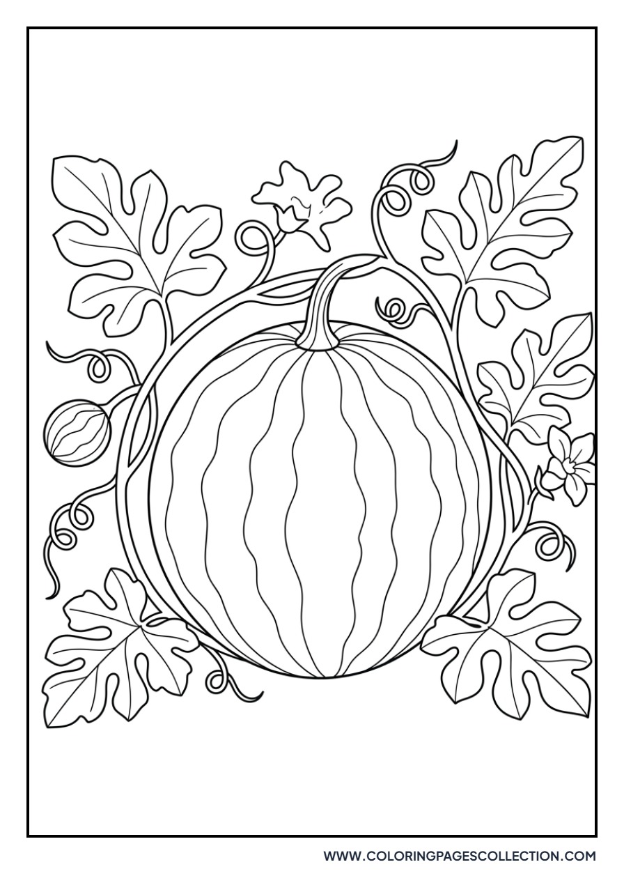 Watermelon on a Vine