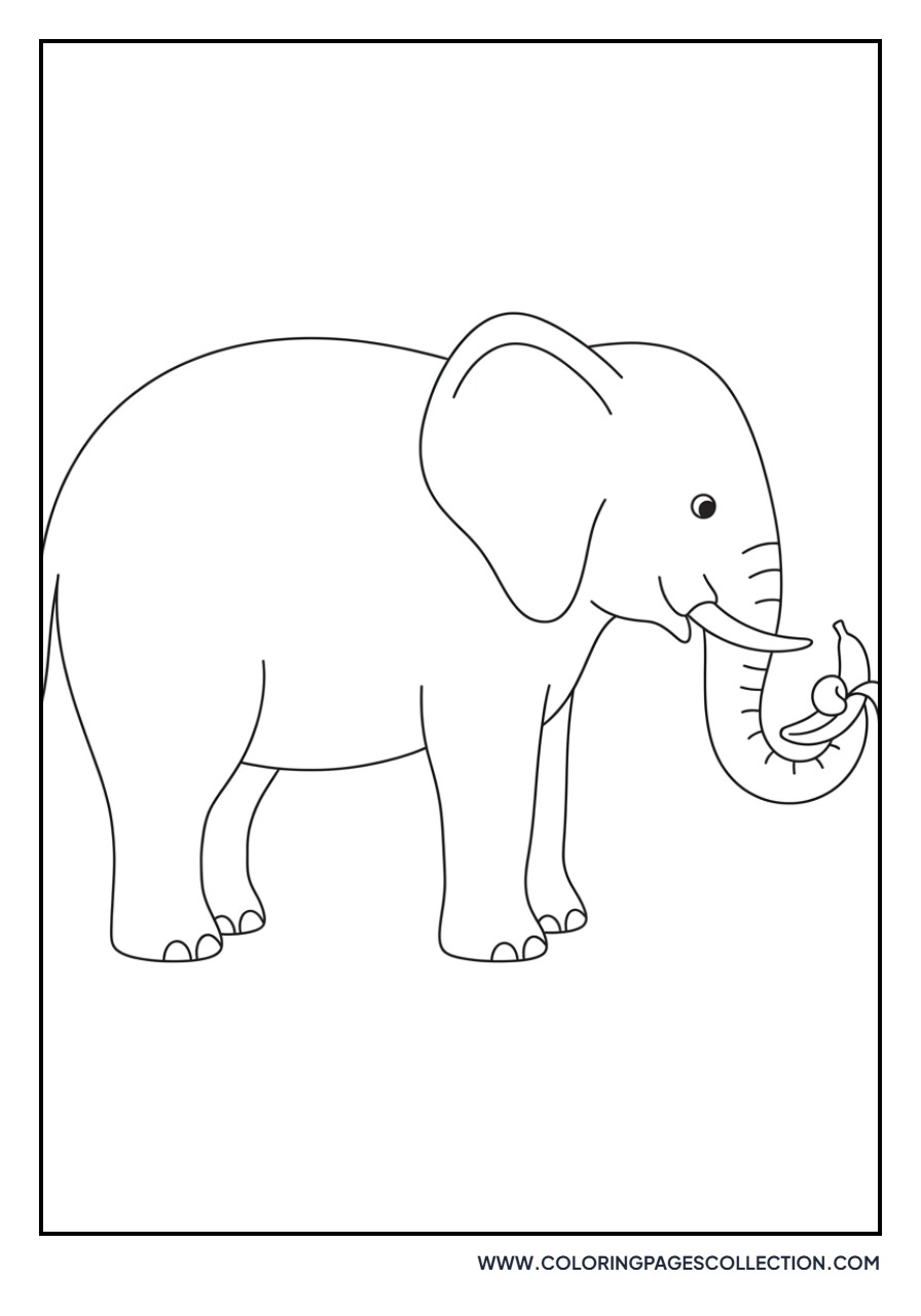Elephant with Banana
