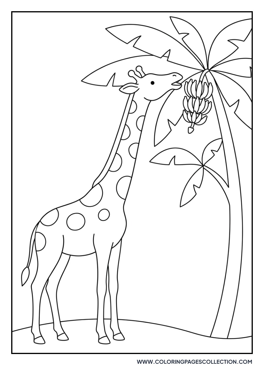 Giraffe Eating a Banana