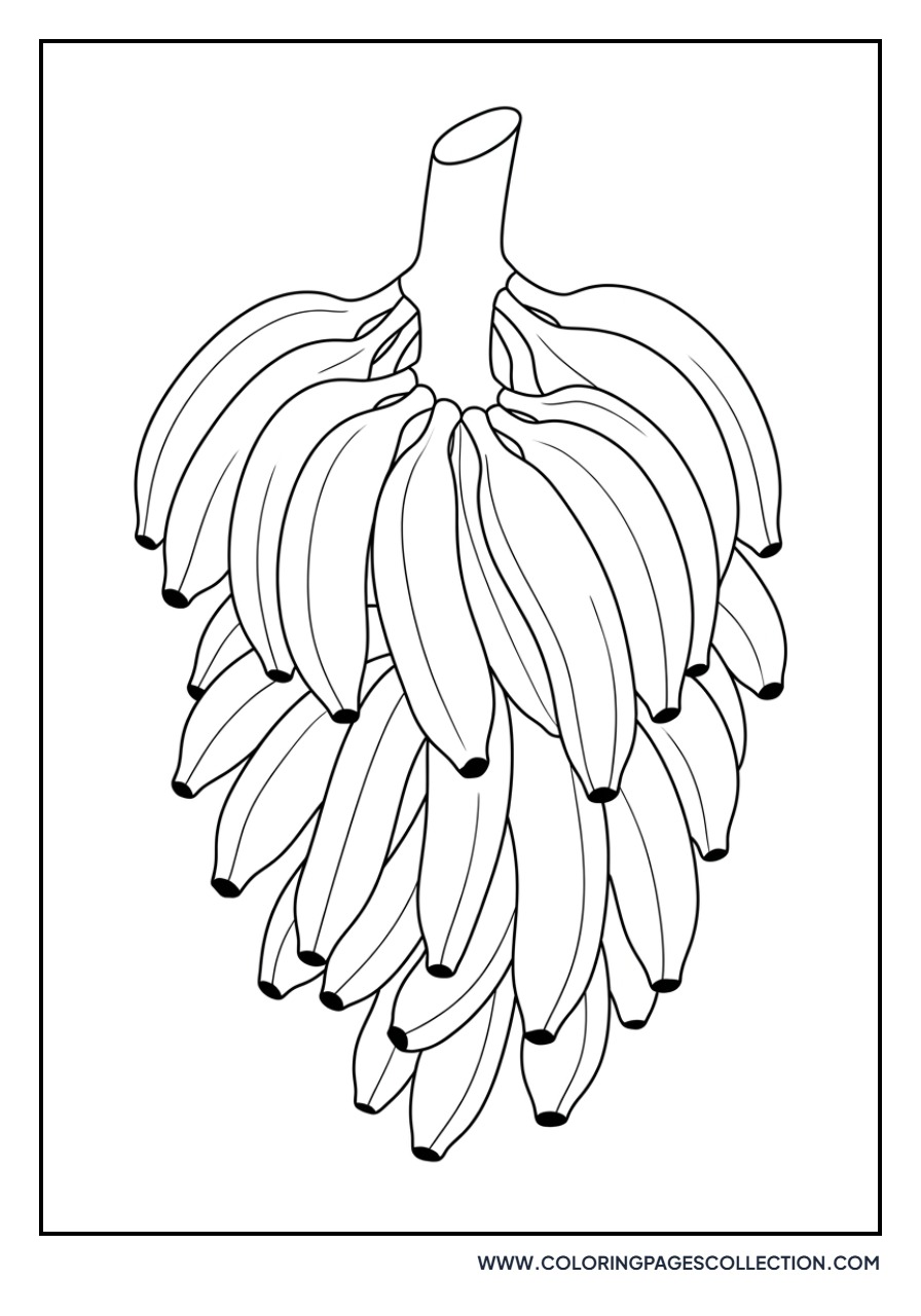 Large Bunch of Bananas