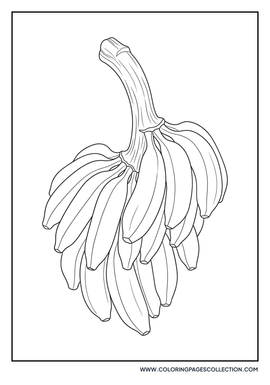 Realistic Banana Bunch