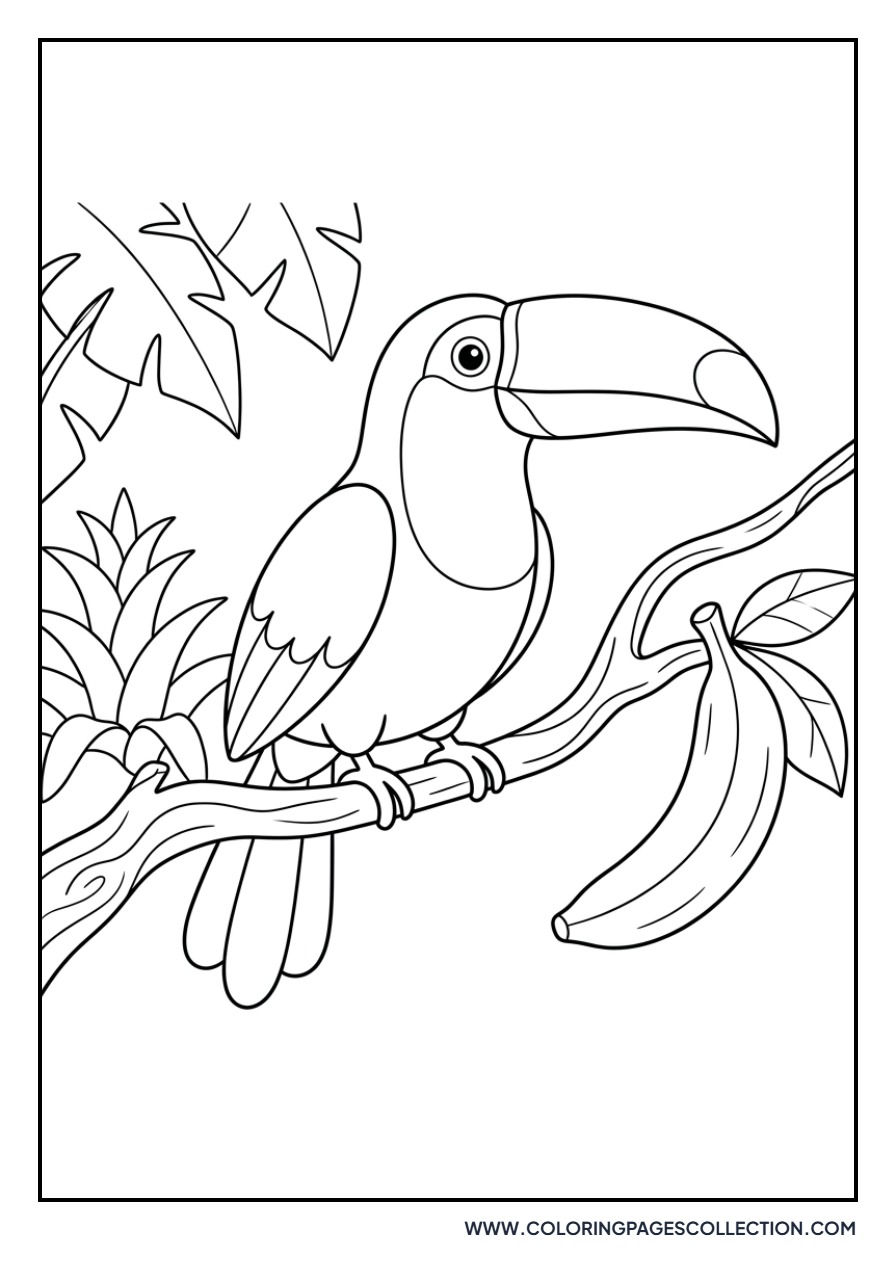 Tucan with a Banana