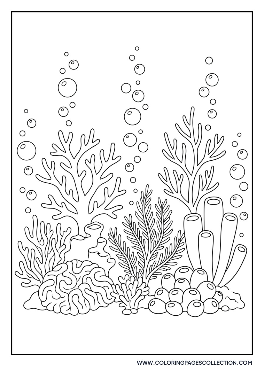Coral Reef Scene