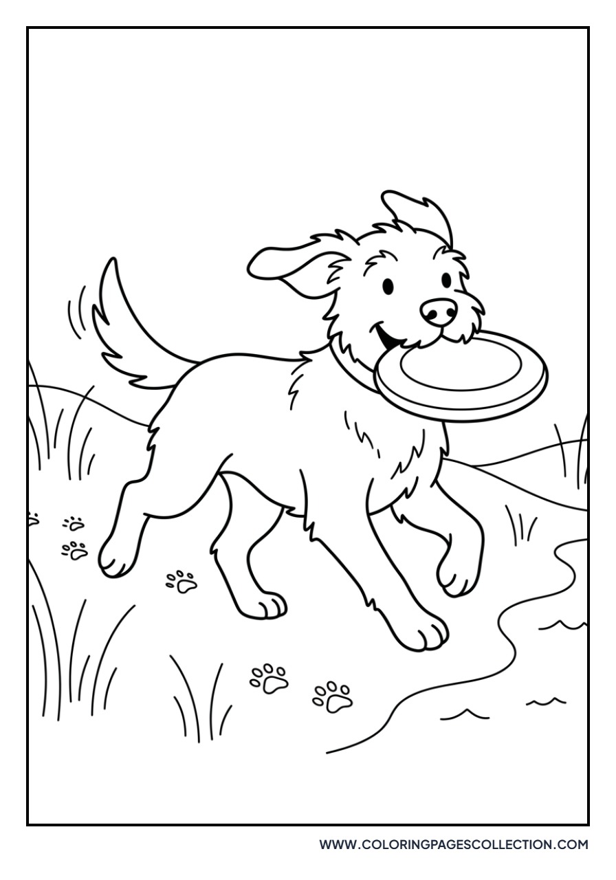 Dog with Frisbee
