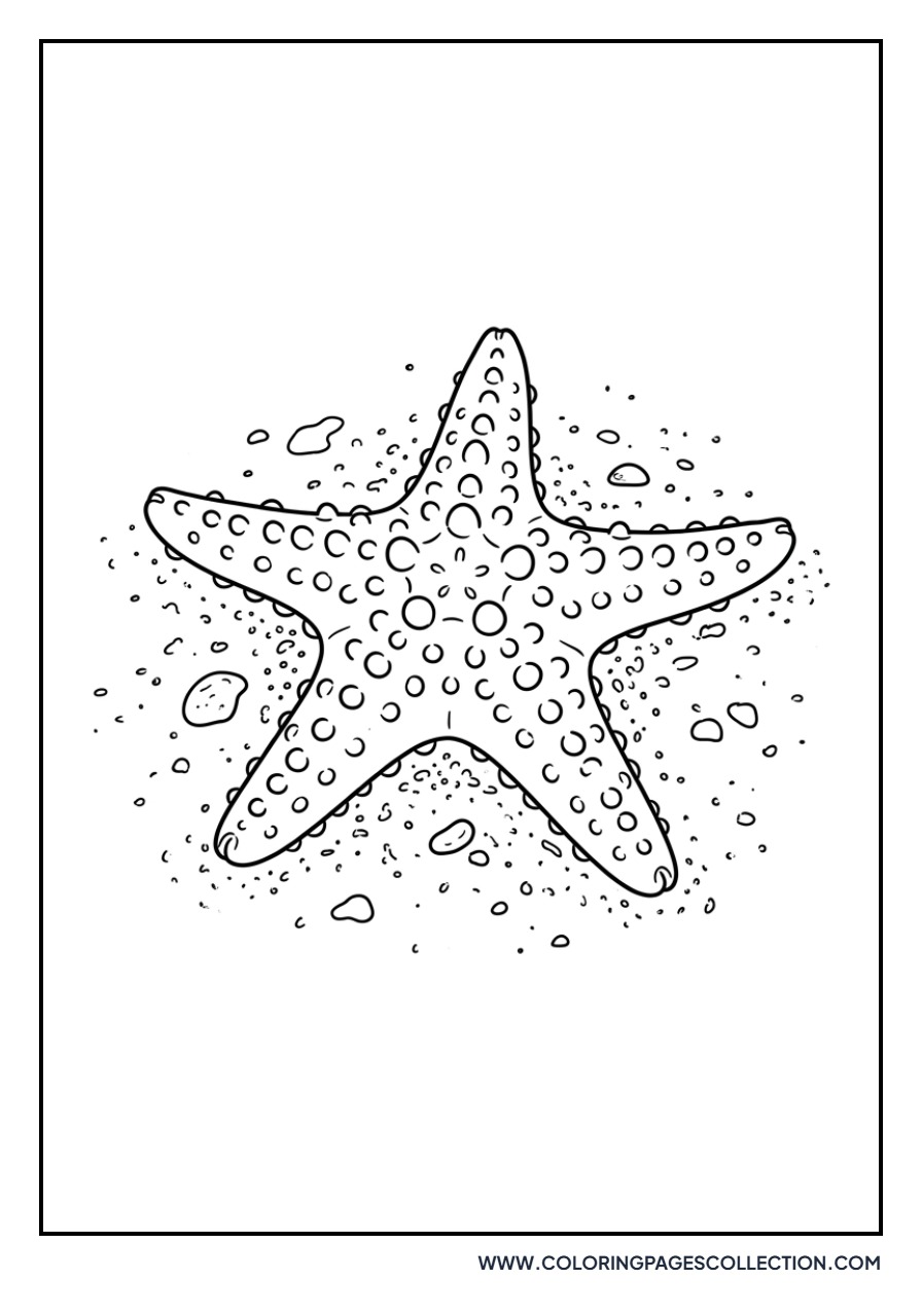 Five-Pointed Starfish