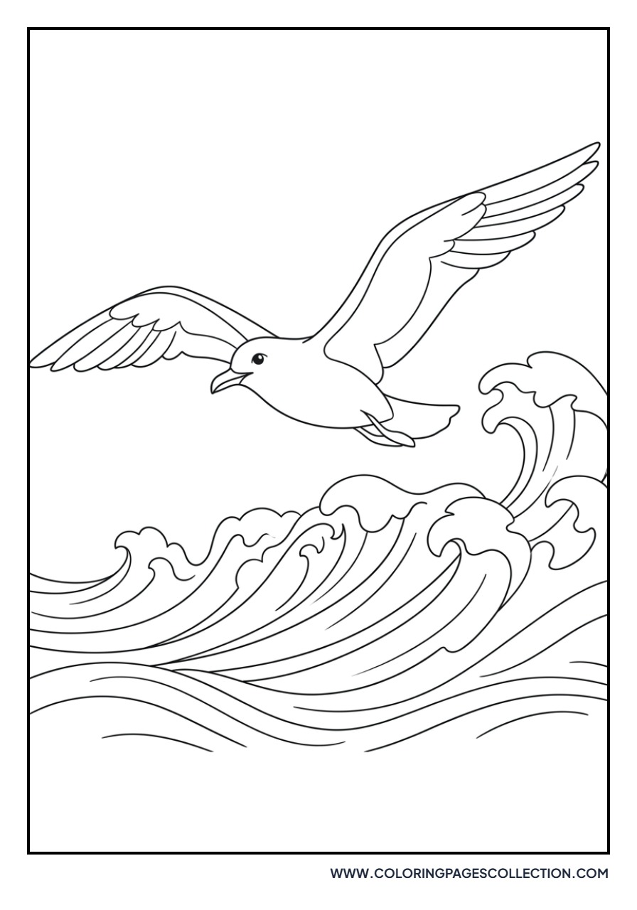 Flying Seagull