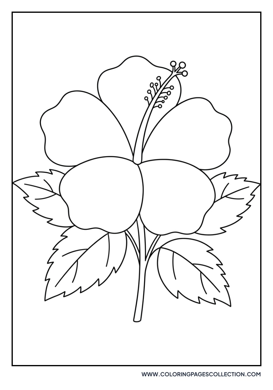 Hibiscus Beach Flower