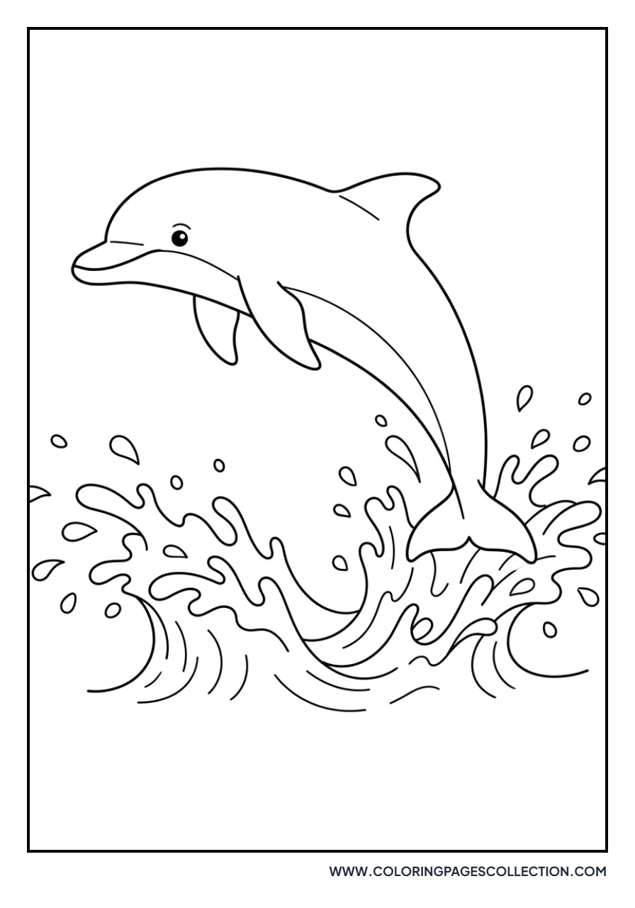 Jumping Dolphin