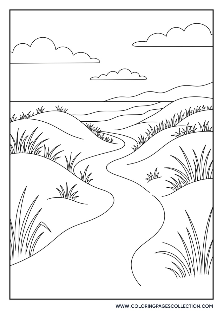 Path through Sand Dunes