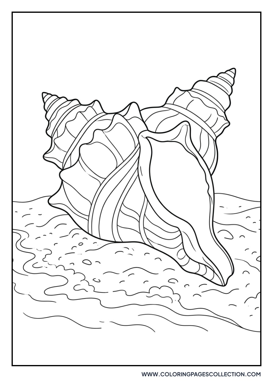 Spotted Seashell