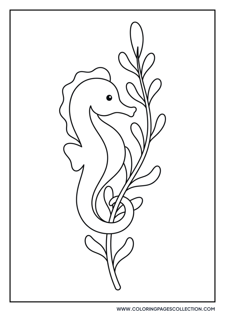 Tiny Seahorse