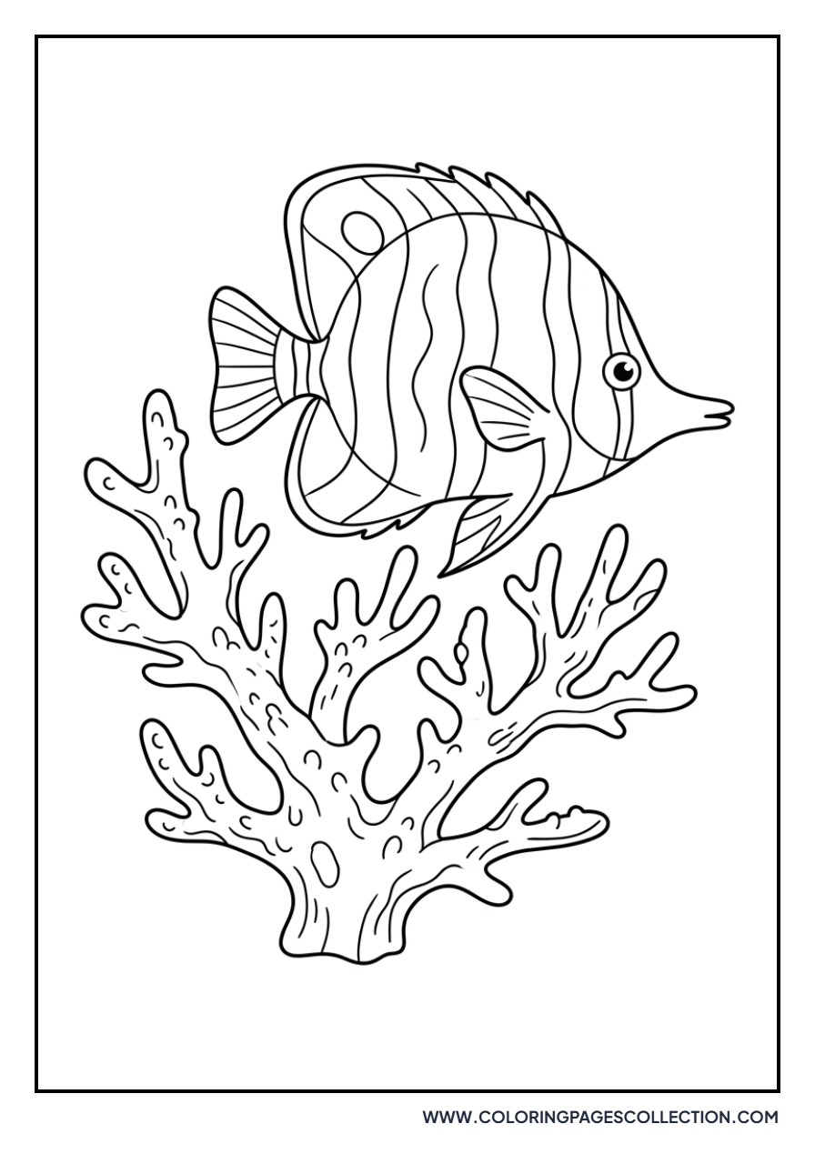 Tropical Fish and Coral