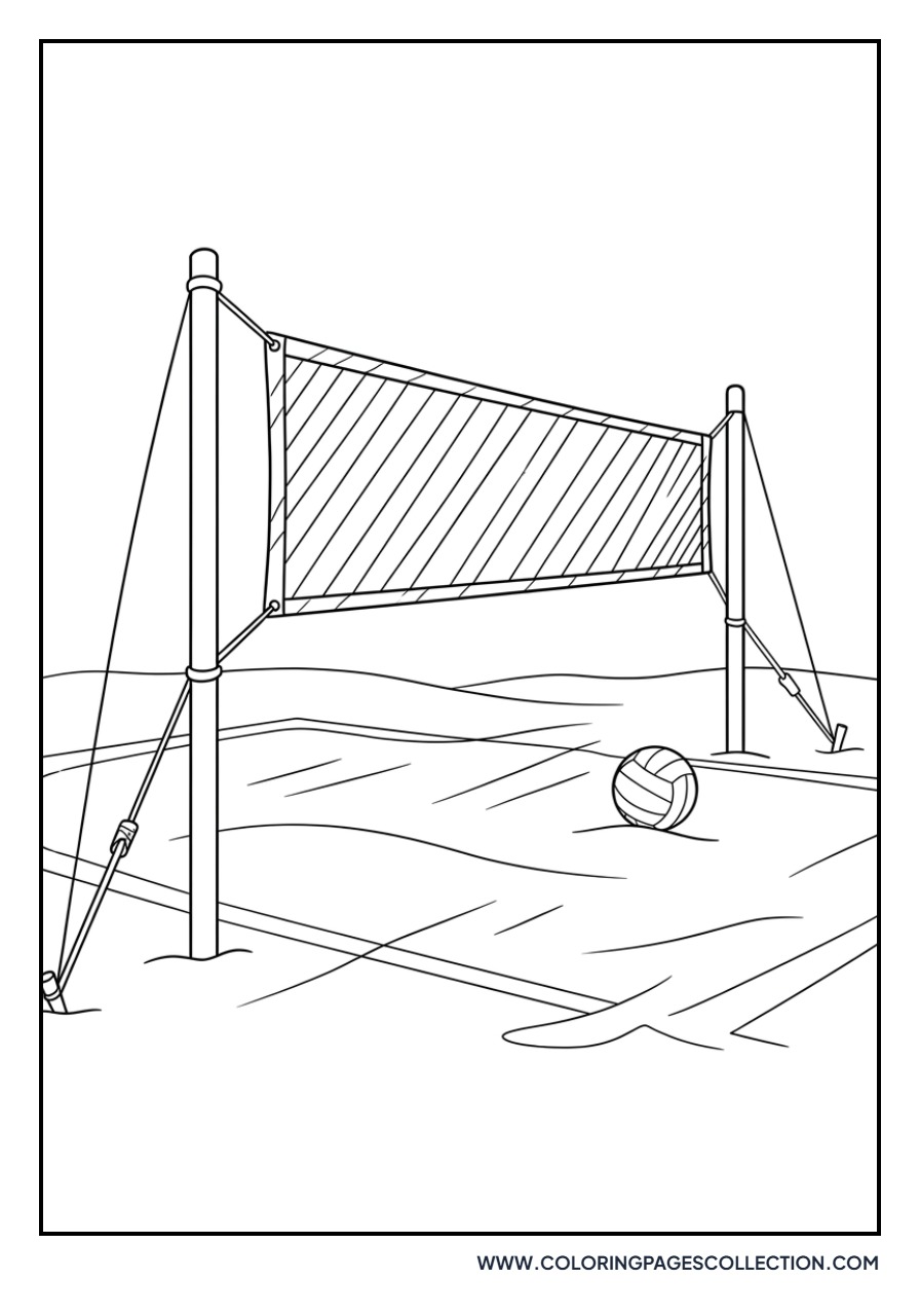Volleyball Net
