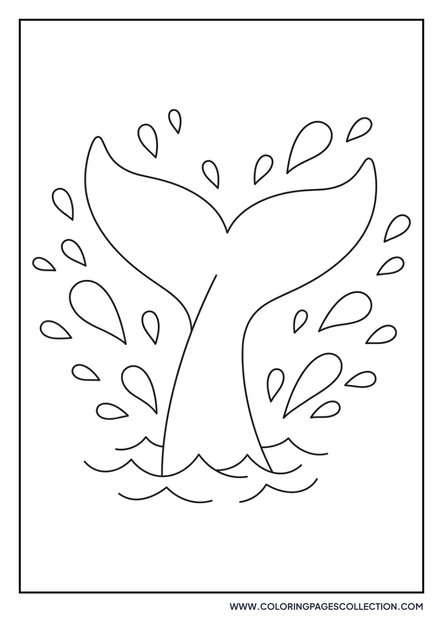 Whale Tail Splash