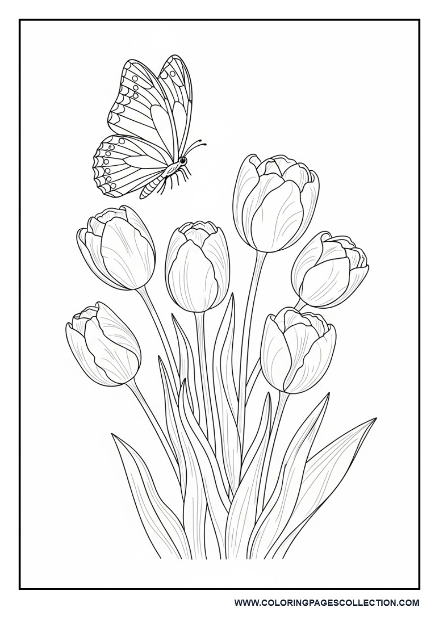 Butterfly and Tulip Flowers