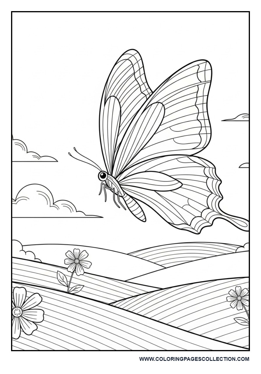 Butterfly Over Rolling Hills