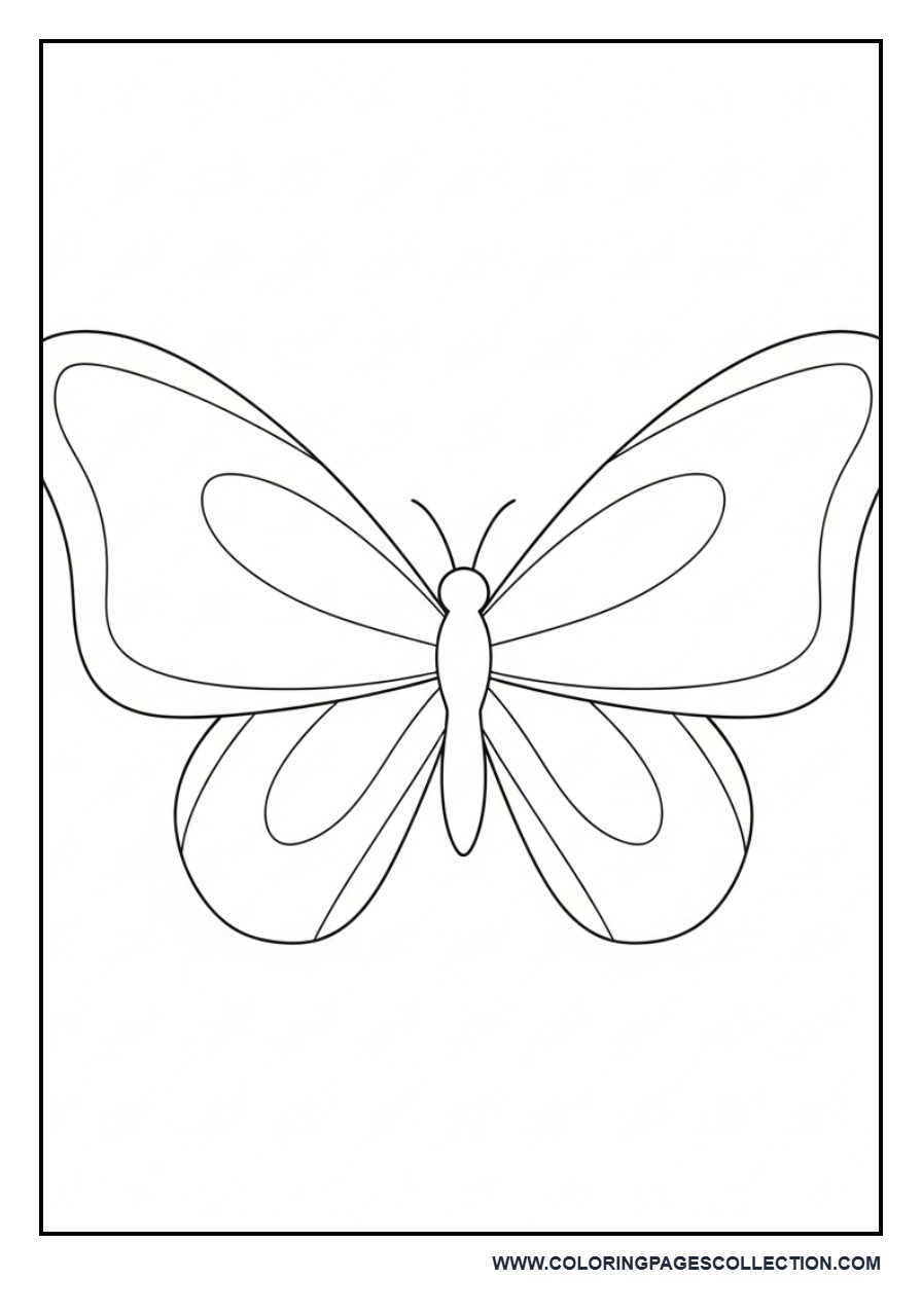 Simple Butterfly Outline