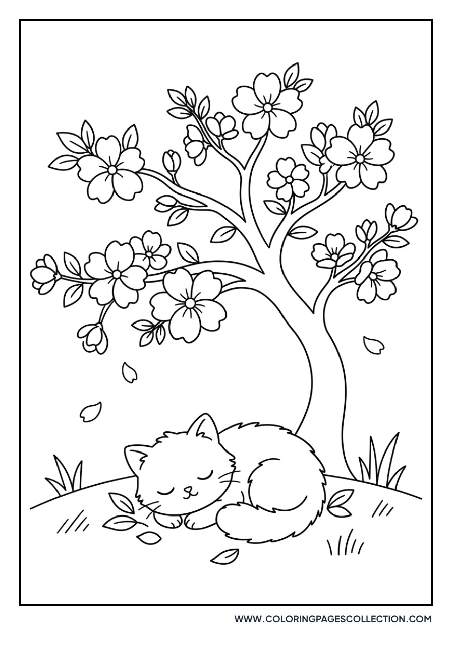 Cat Napping under Sakura