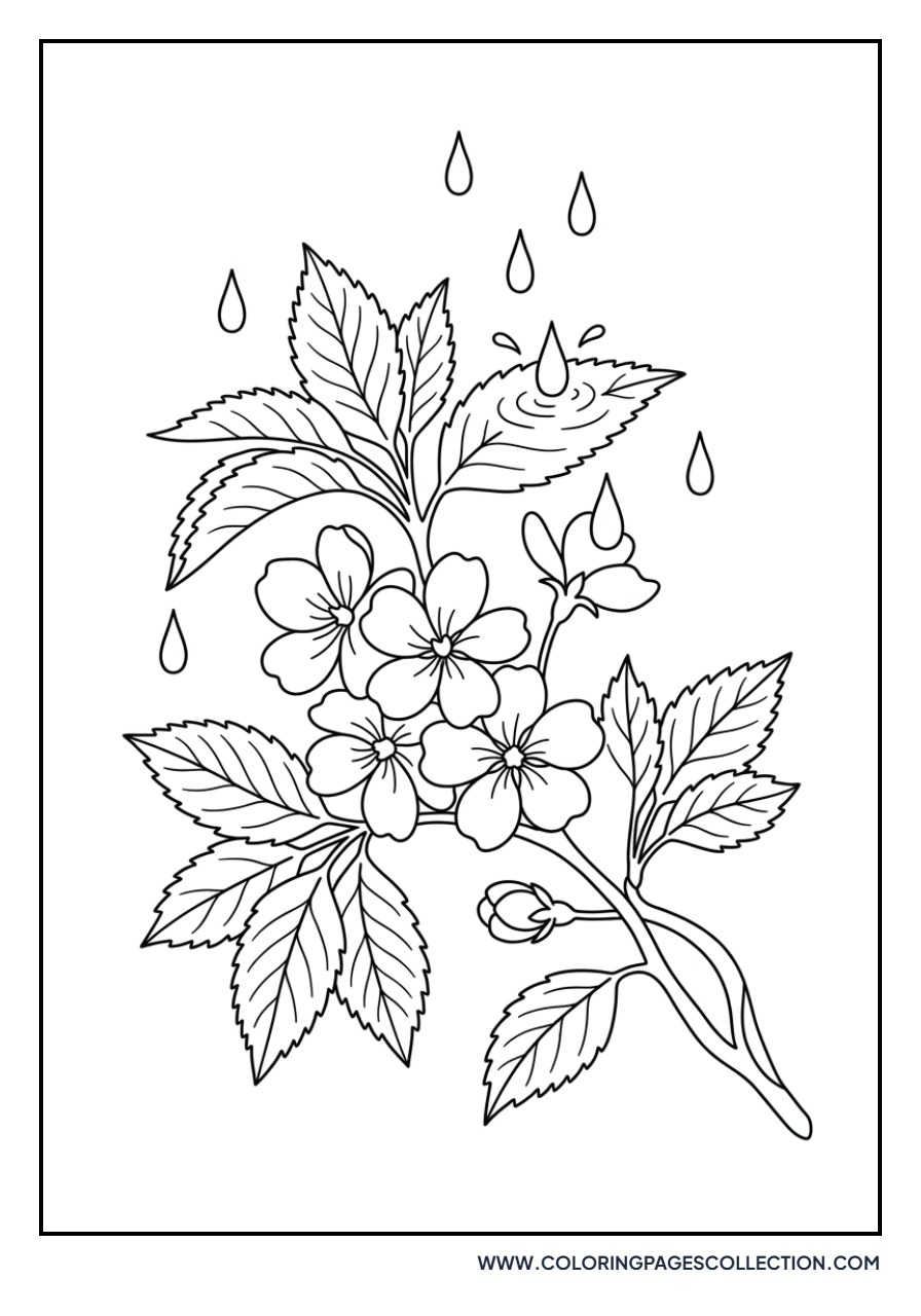 Cherry Blossom Rain
