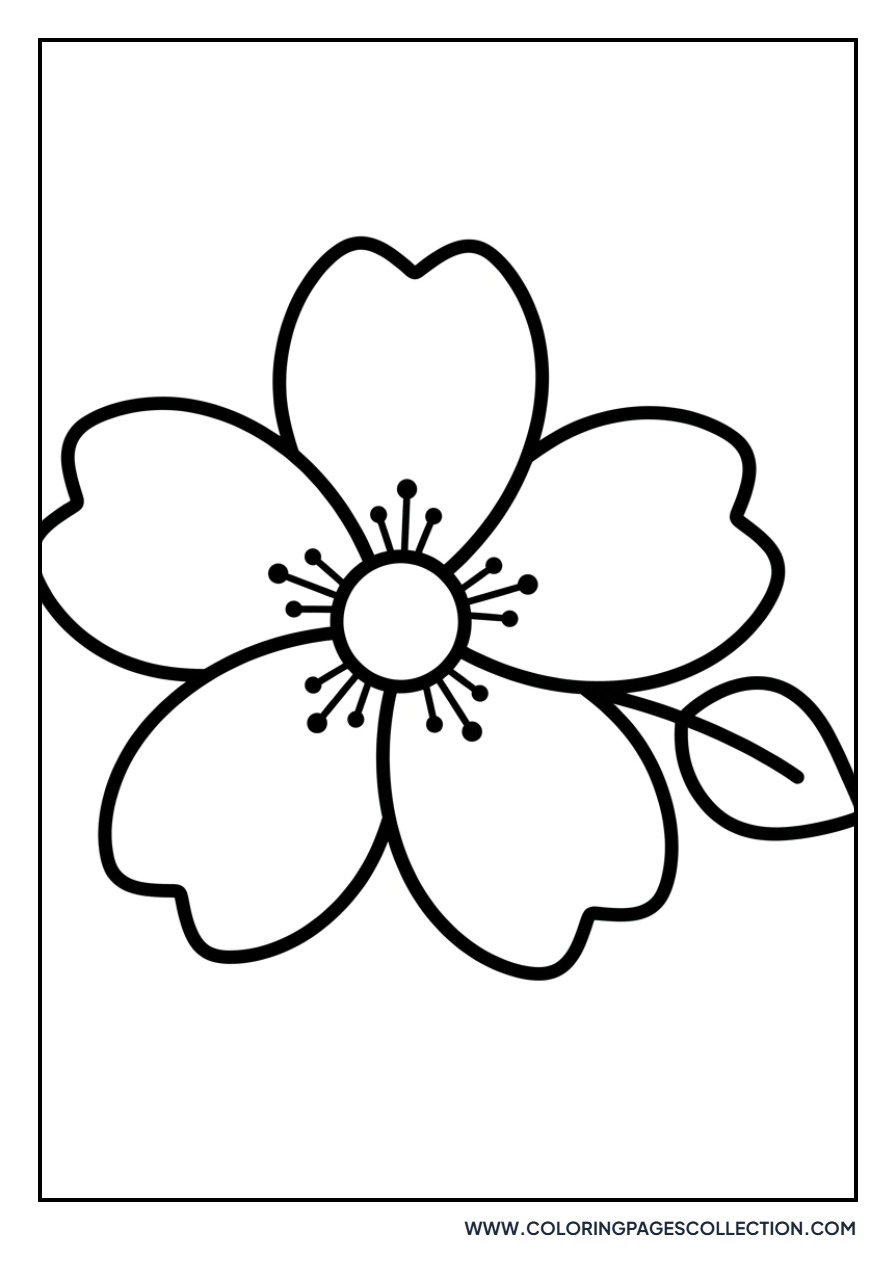 Easy Sakura for Toddlers