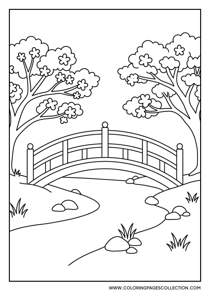 Japanese Bridge and Sakura