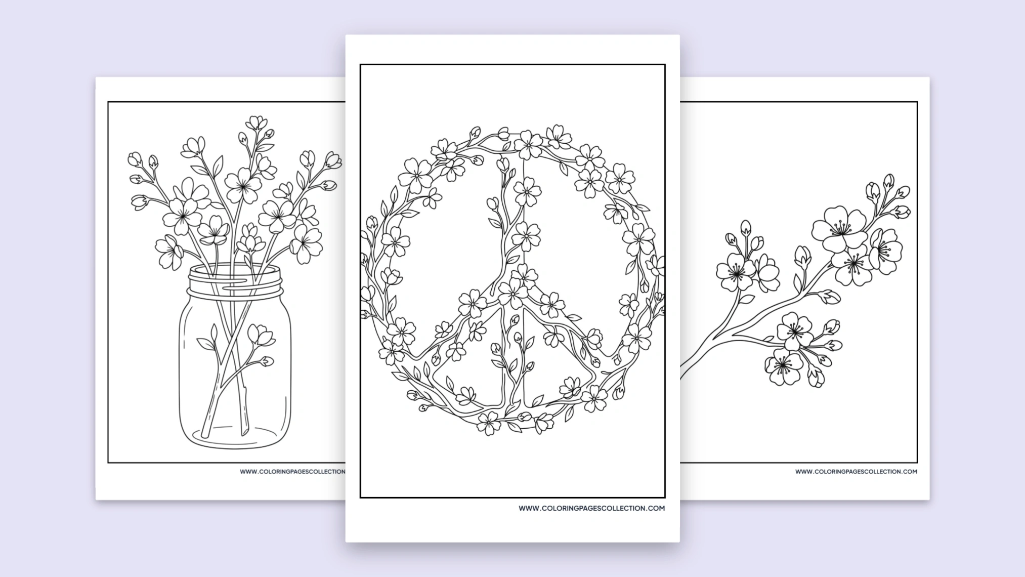 60+ Free Printable Cherry Blossom Coloring Pages