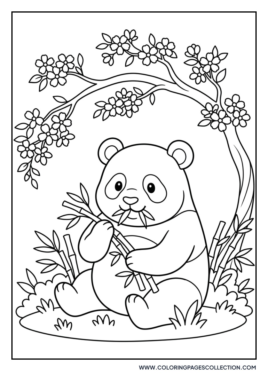 Panda and Cherry Blossoms