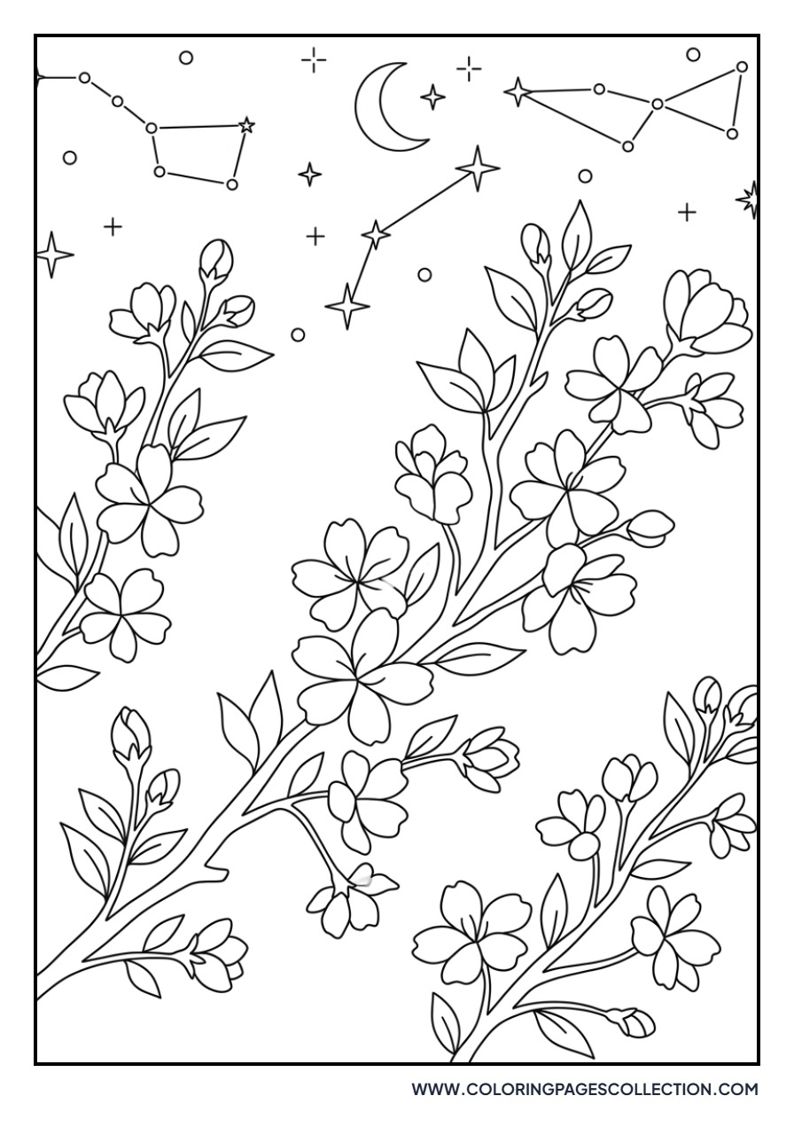Sakura and Stars