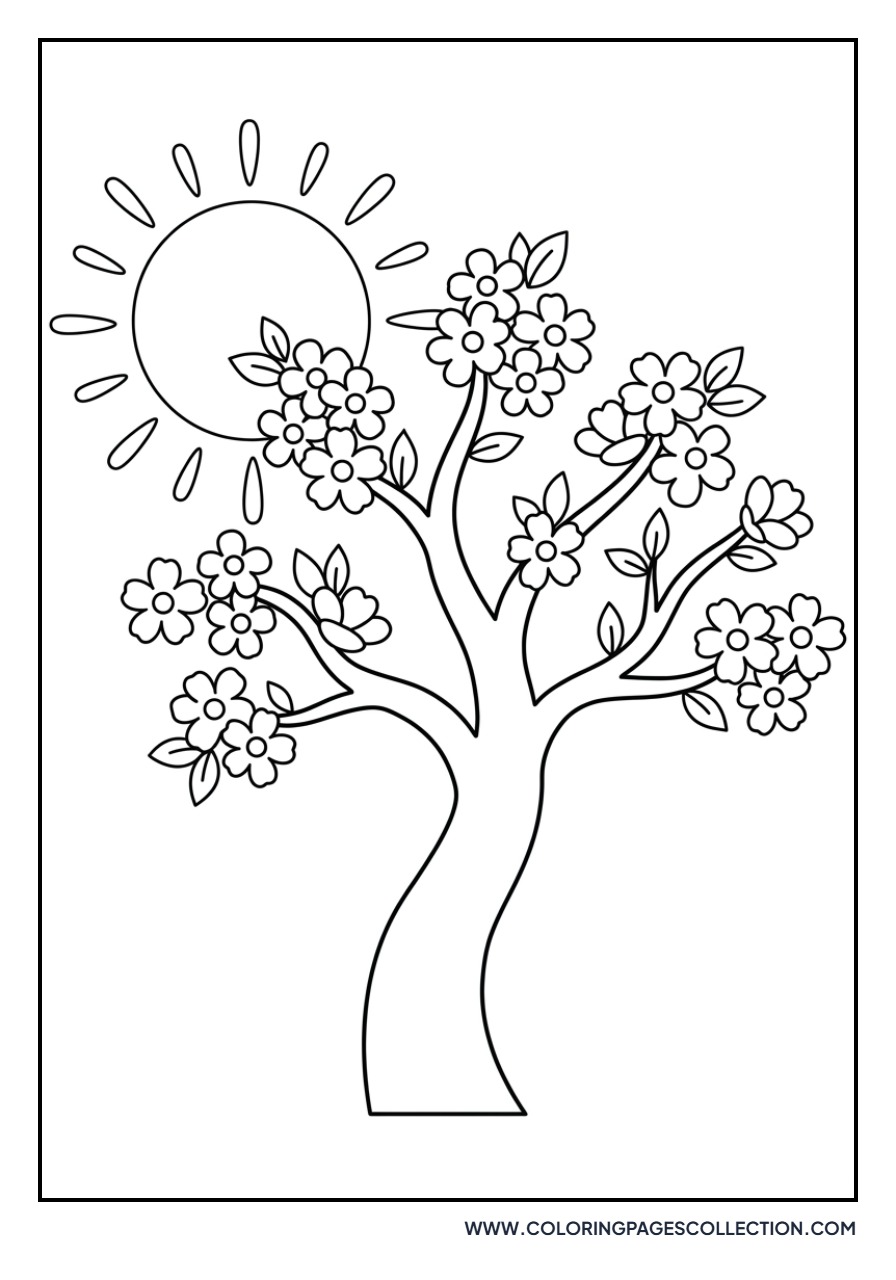 Sakura and Sun