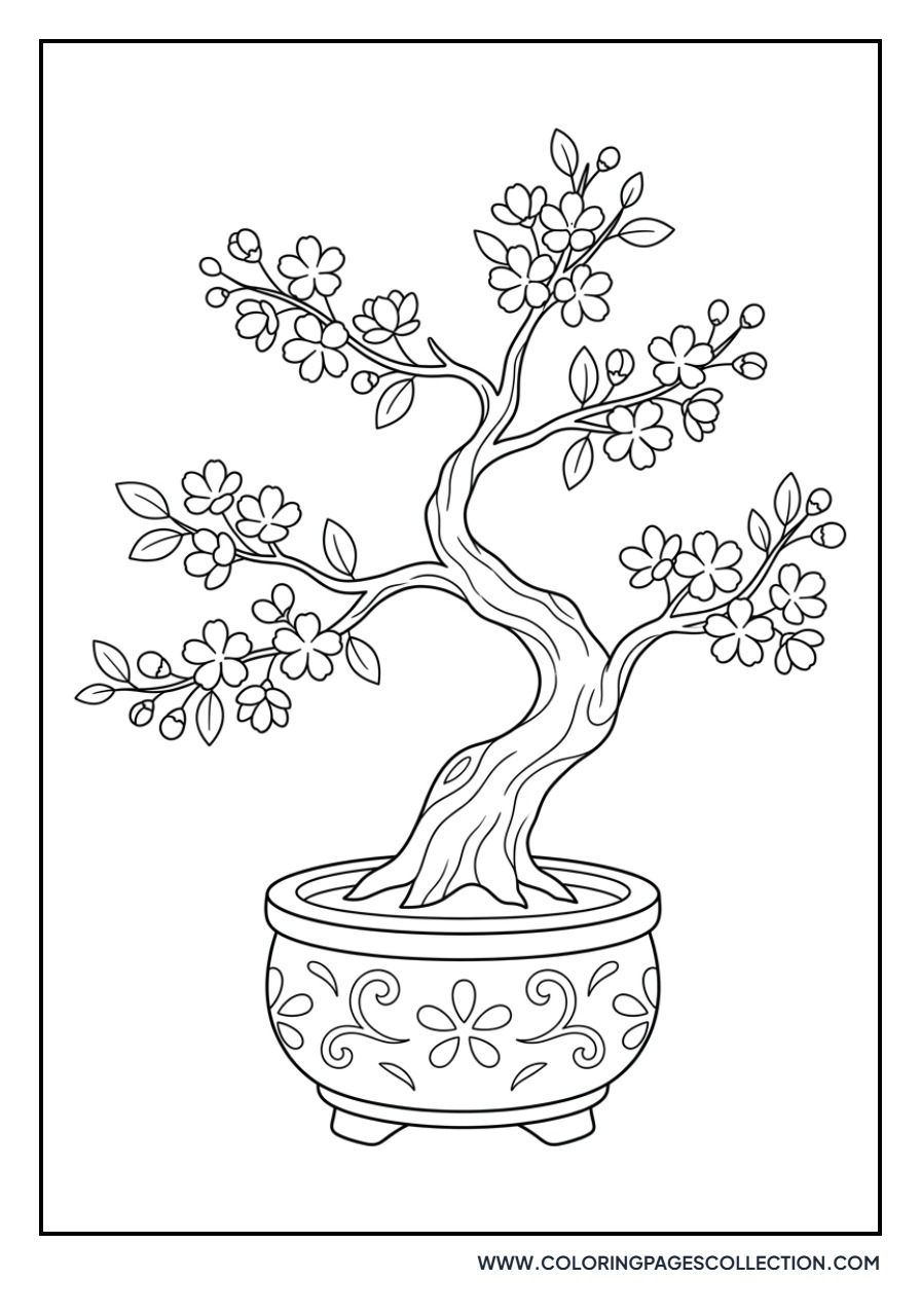 Sakura Bonsai Tree