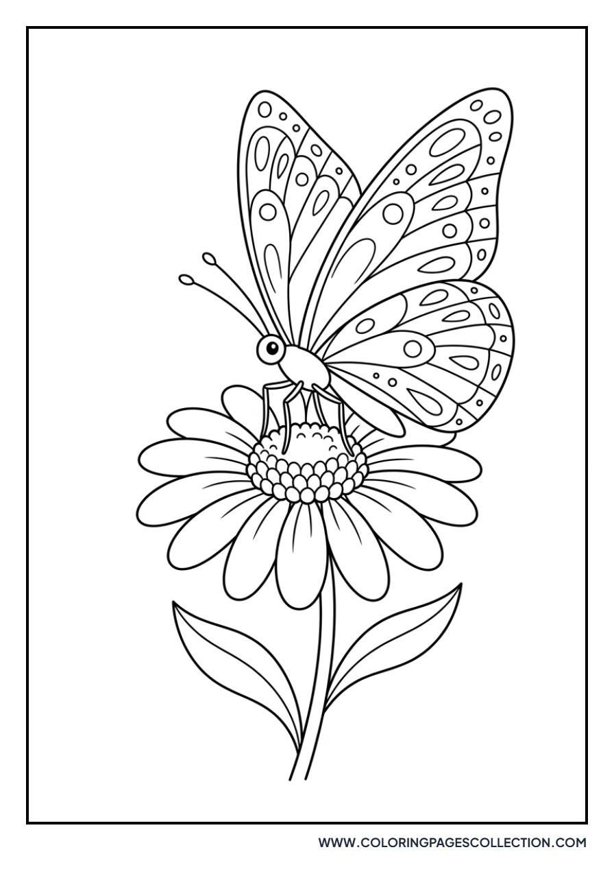 Butterfly landing on daisy flower coloring page