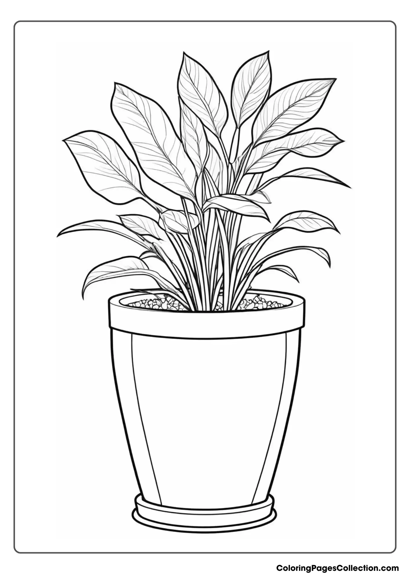 A Plant In A Pot Coloring Page