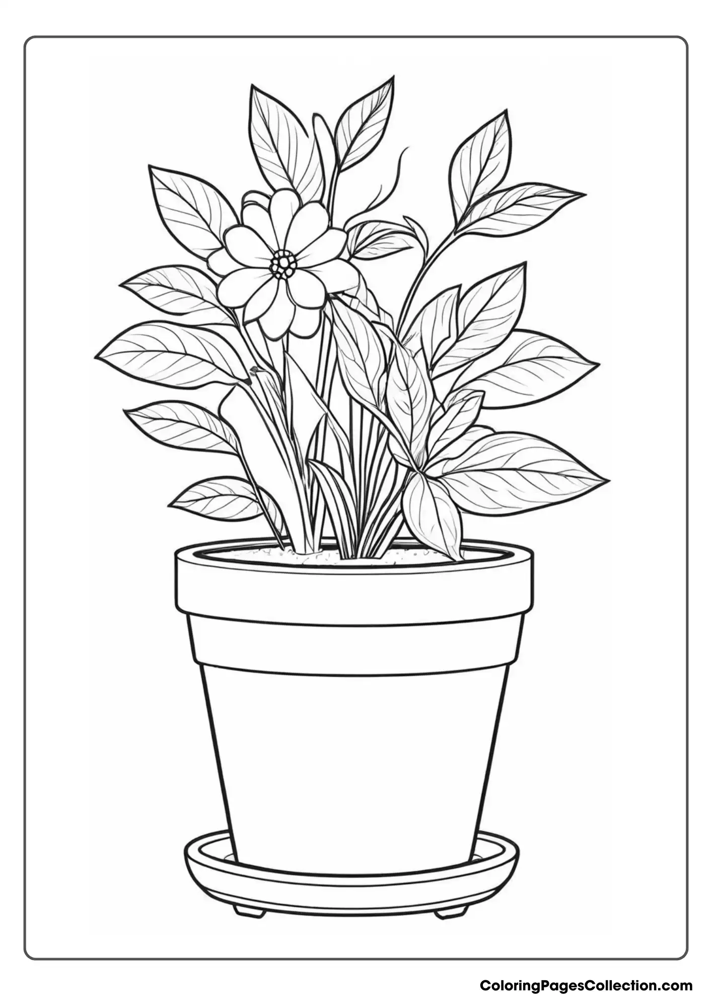 A Plant In A Pot Coloring Page