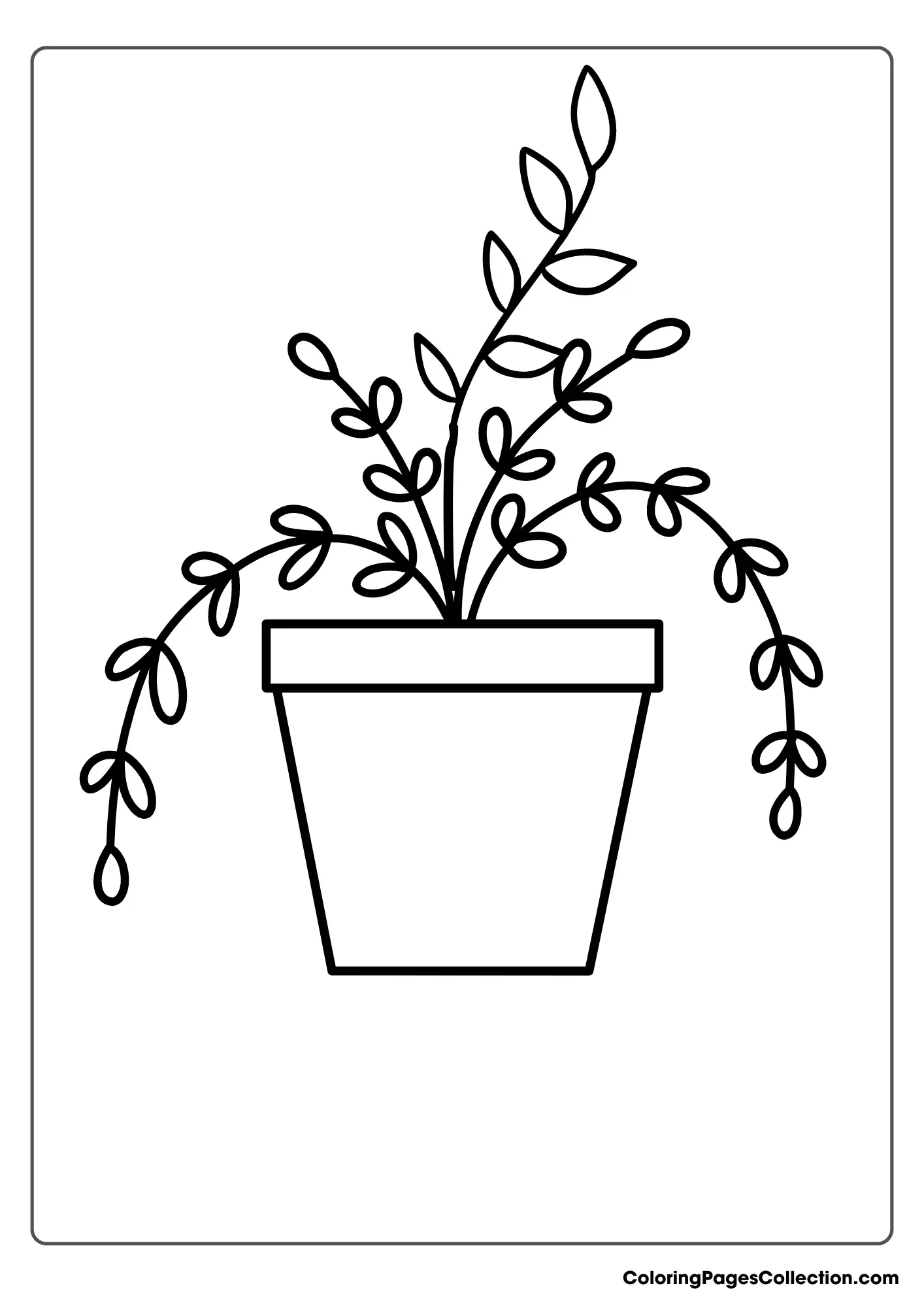 A Coloring Page Of A Plant In A Pot