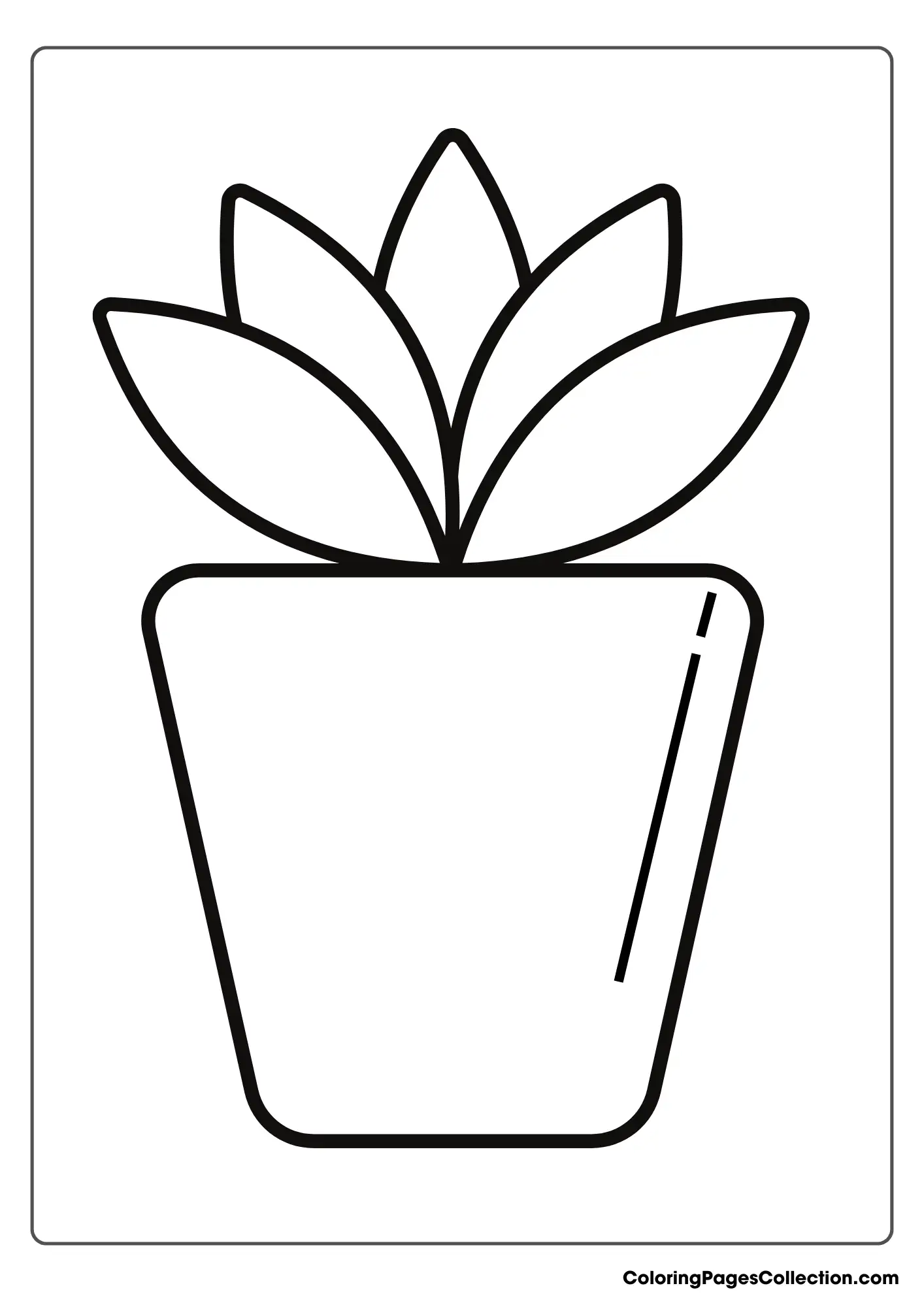 Succulent Plant In A Pot Coloring Page