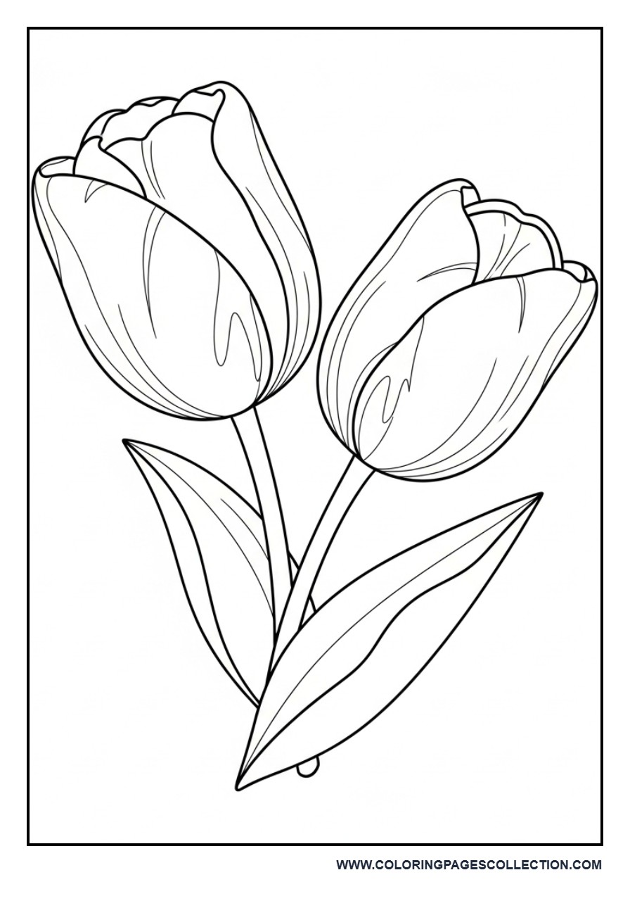 Easy Tulip Flower Coloring Sheet
