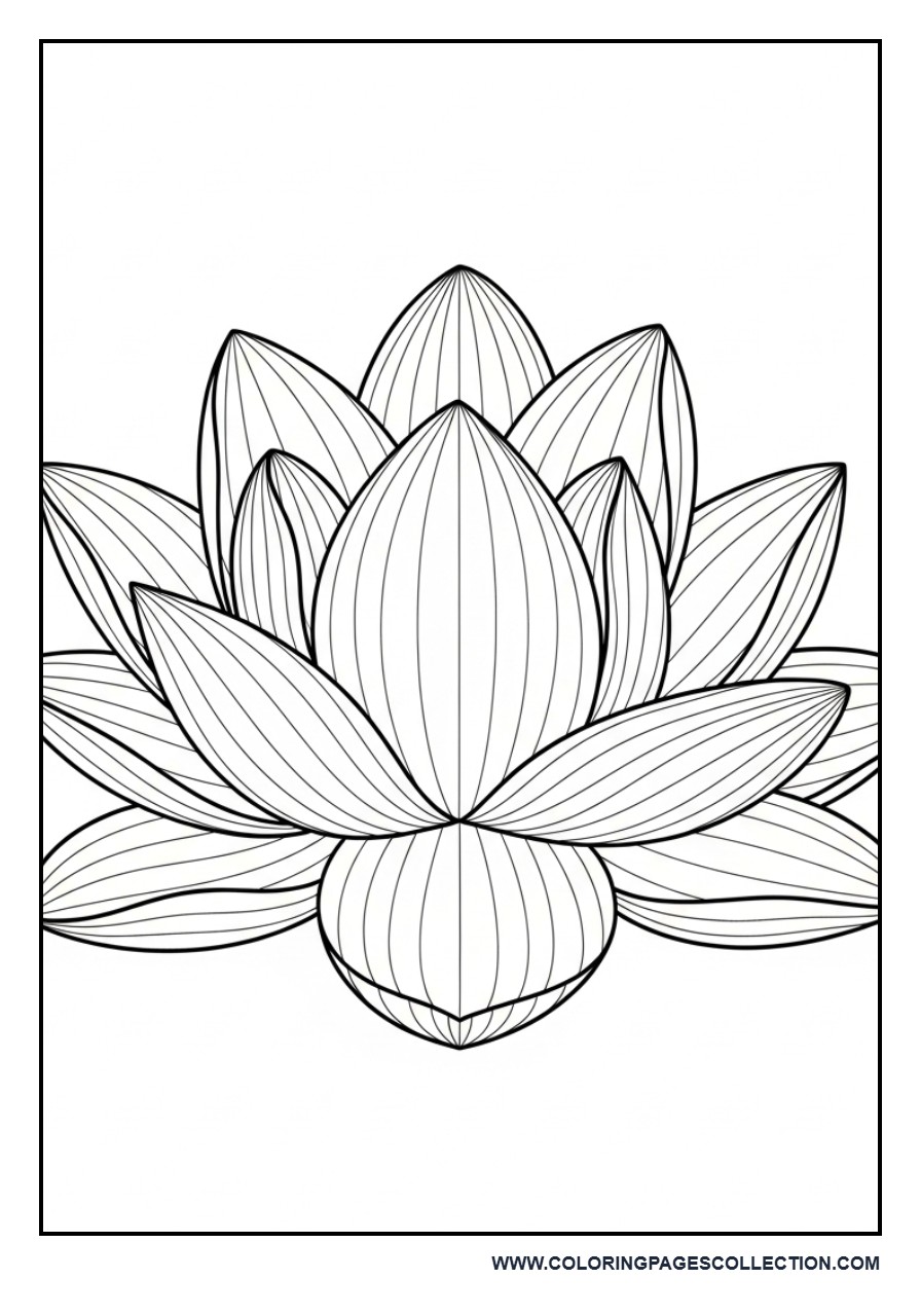 Simple Lotus Flower Coloring Page