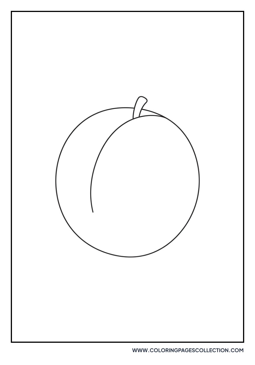 Apricot with Stem