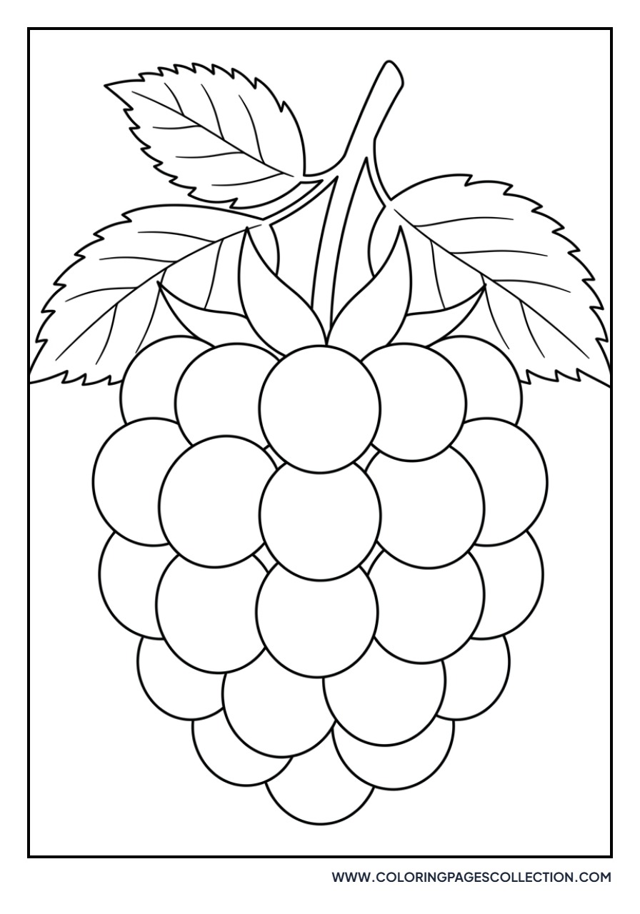 Blackberry Cluster