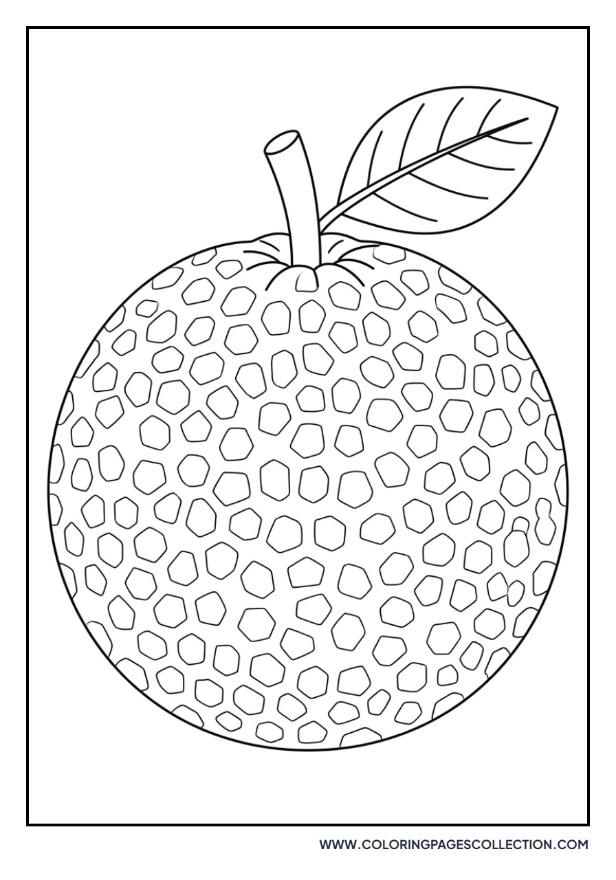 Breadfruit Whole