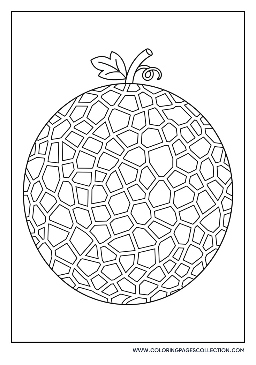 Cantaloupe Melon