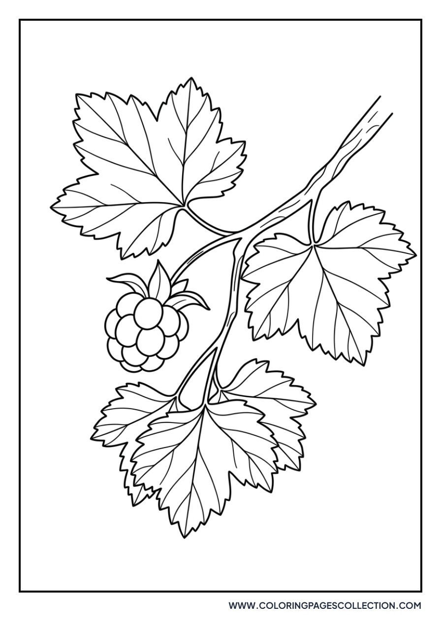 Cloudberry Branch